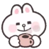 Cony 🐰 soft & 19