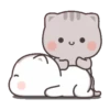 KITTEN 22