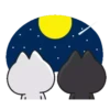 Casal de gatinhos 14