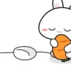 🐰🥕Baby Rabbit 3 MOV.💖🐰 16