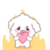 🐶🤍Bunny Poodle MOV.🤍🐶 22