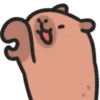 Capybara 🔴🔴 mov 16