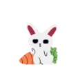 Lovely Rabbit 23