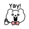 🐻BEAR EXPRESSIONS 18