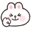 Cony 🐰 soft & 21