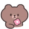 Brown 🐻 soft 25