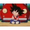 koki 5 Dragón ball 1 20