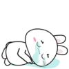 🐰🥕Baby Rabbit 3 MOV.💖🐰 21