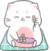 Baby Cat 20