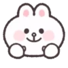 Cony 🐰 soft & 24