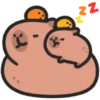 Capybara 🔴🔴 mov 17