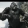 Vs Crushzilla Vs King Kong vs 24