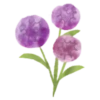 Flowers 2 💖 MOV 18