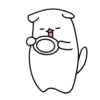 WHITE FLUFFY CAT MOV. 21