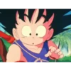 koki 5 Dragón ball 1 23