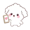 🐶🤍Bunny Poodle MOV.🤍🐶 23