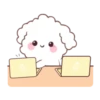 🐶🤍Bunny Poodle MOV.🤍🐶 24