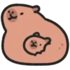 Capybara 2 🔴🔴 mov 18