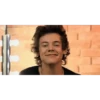 harryyyyy 6