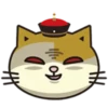 Fumean Cats 2 😺💖 MOV 20