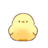 Pollito tierno Mov. 29