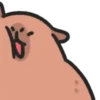 Capybara 2 🔴🔴 mov 19