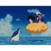 koki 5 Dragón ball 1 28