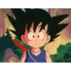 koki 5 Dragón ball 1 29
