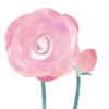 Flowers 2 💖 MOV 20