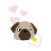 I LOVE   PUG    2  (MOV) 19