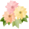 Flowers 1 💖 MOV 20
