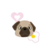 I LOVE   PUG    2  (MOV) 20