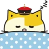Fumean Cats 1 😺💖 MOV 20