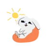 Lovely Rabbit 30
