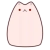 Cats 5