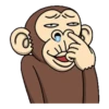 funny monkey 5