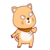 ORANGE AND BLACK CAT 5