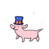 ● Perrito Disfrazado Mov. ● 6