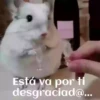ANIMALITOS 8