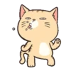 Gatinhos fofos 7