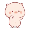 Lindo CERDITO Mov 5