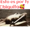 ANIMALITOS 10