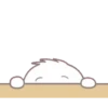 whiteBunny 6