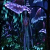 Avatar Ѧ Mov 8