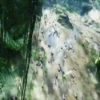 Avatar Ѧ Mov 10