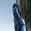 Avatar Ѧ Mov 11