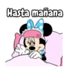 Minnie y Mickey mouse 11