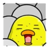 Pato gordo 10