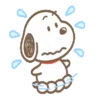 SNOOPY ROUND BOY 12