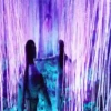 Avatar Ѧ Mov 12